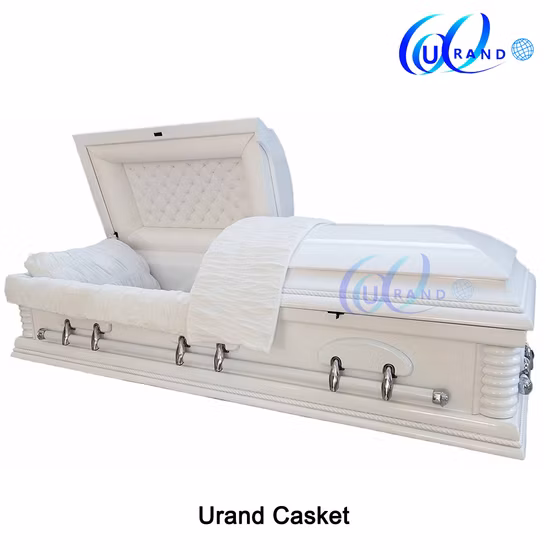 흰색 매장 고광택 솔리드 포플러 관